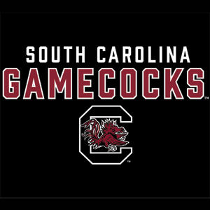 University of South Carolina Gamecocks Black PS5 Controller Skin